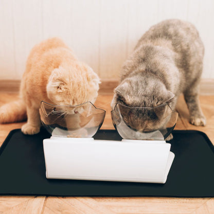 Adorable Orthopedic Anti-Vomiting Cat Bowls