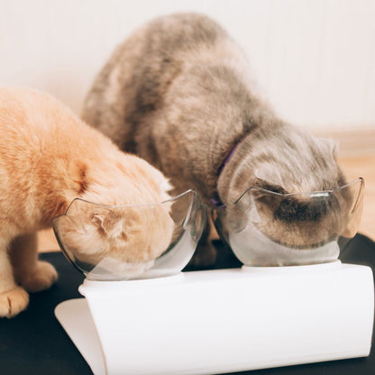 Adorable Orthopedic Anti-Vomiting Cat Bowls